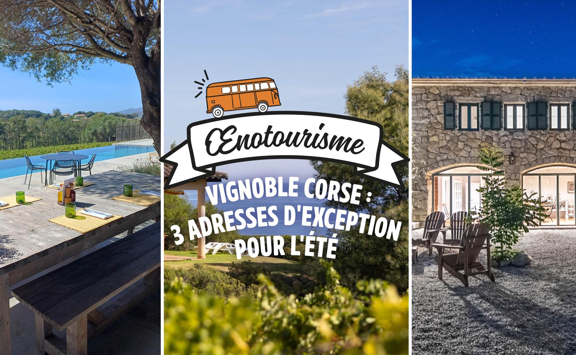Vignoble corse : 3 adresses d'exception pour l'été