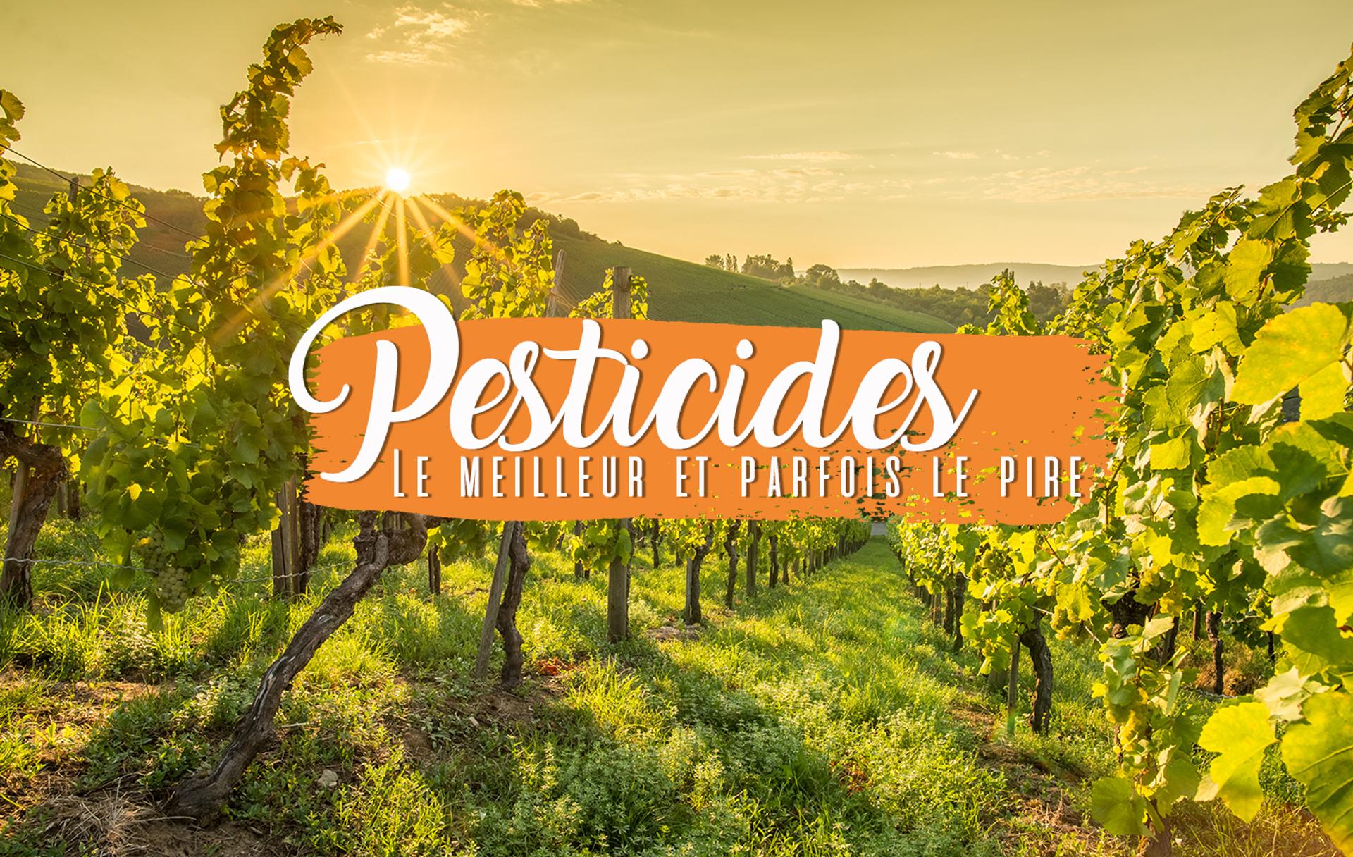 Les pesticides : le meilleur et parfois le pire