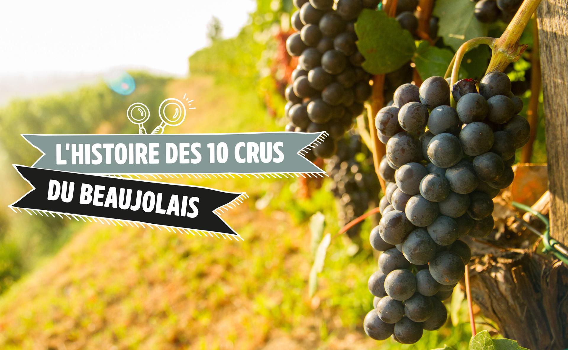 L'histoire des 10 crus du Beaujolais