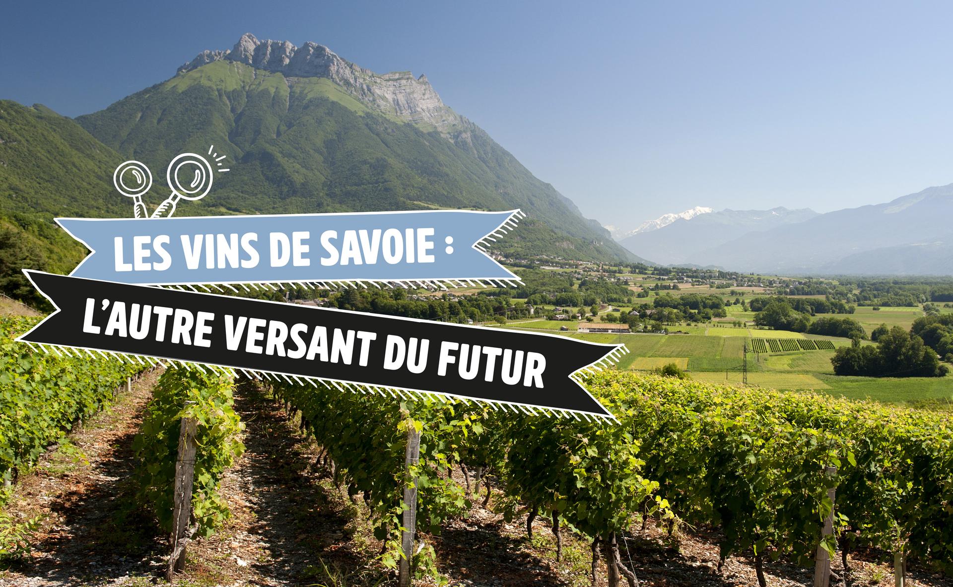 Les vins de Savoie : l'autre versant du futur