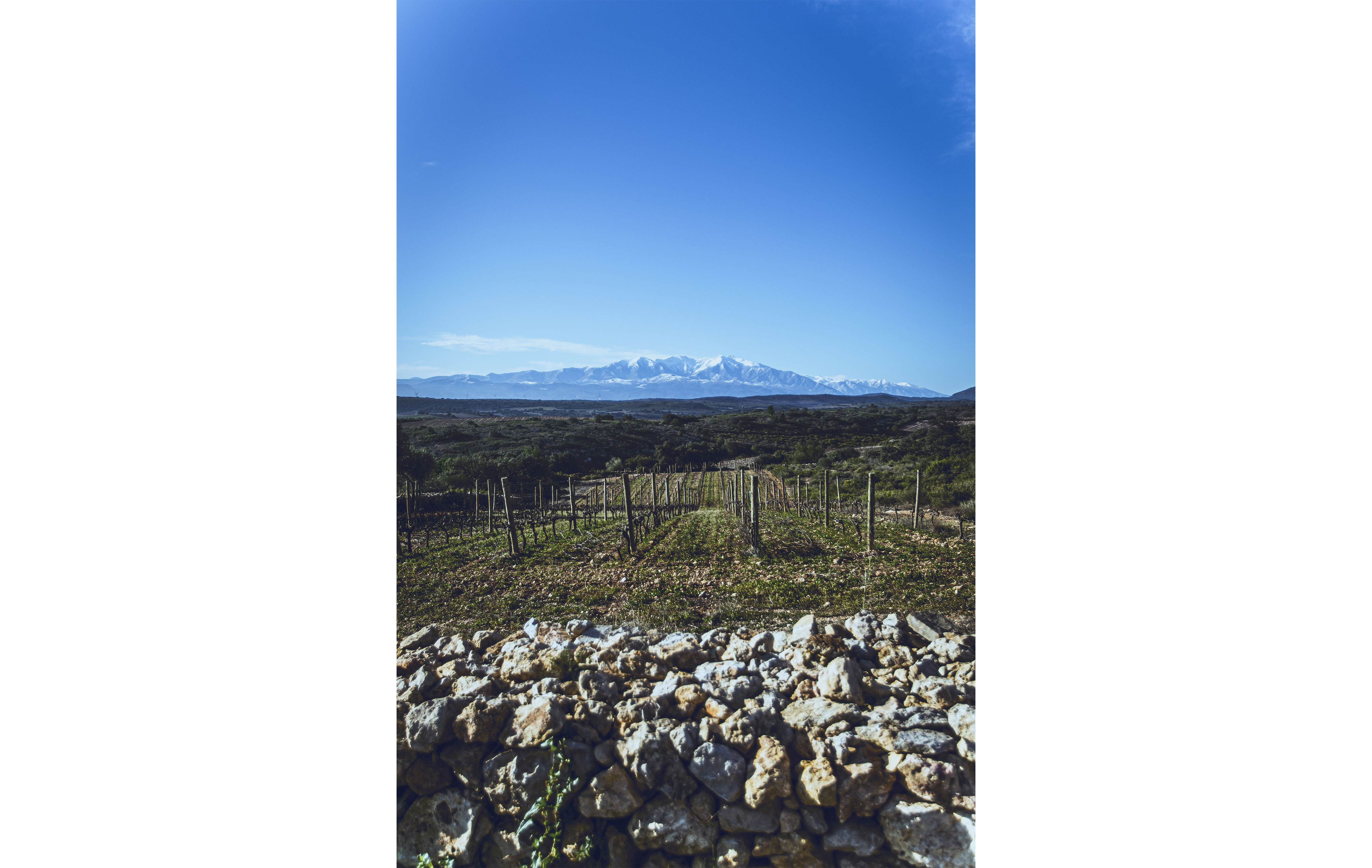 Les paysages contrastés des vins du Roussillon - Crédit photo : GuilhemCANAL