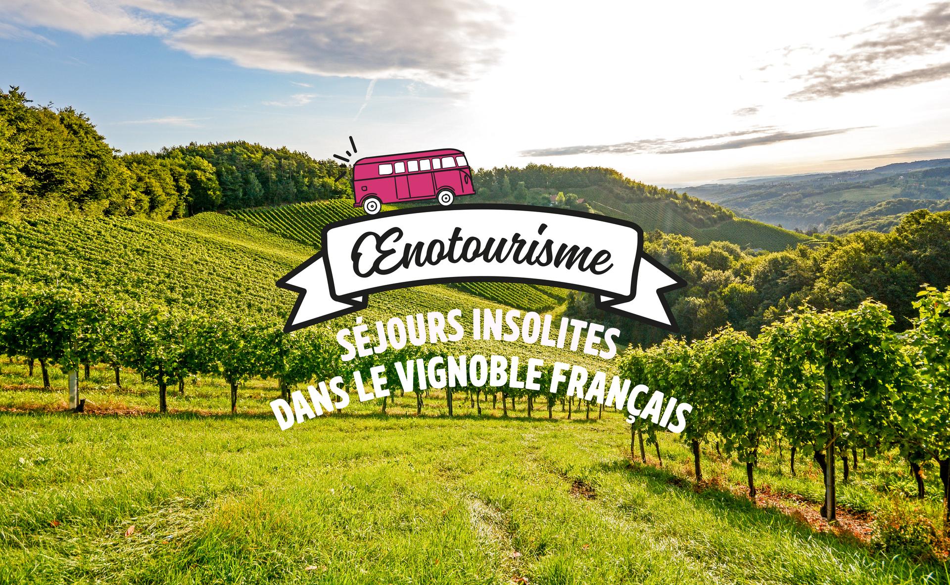 3 idées de séjours insolites dans le vignoble français