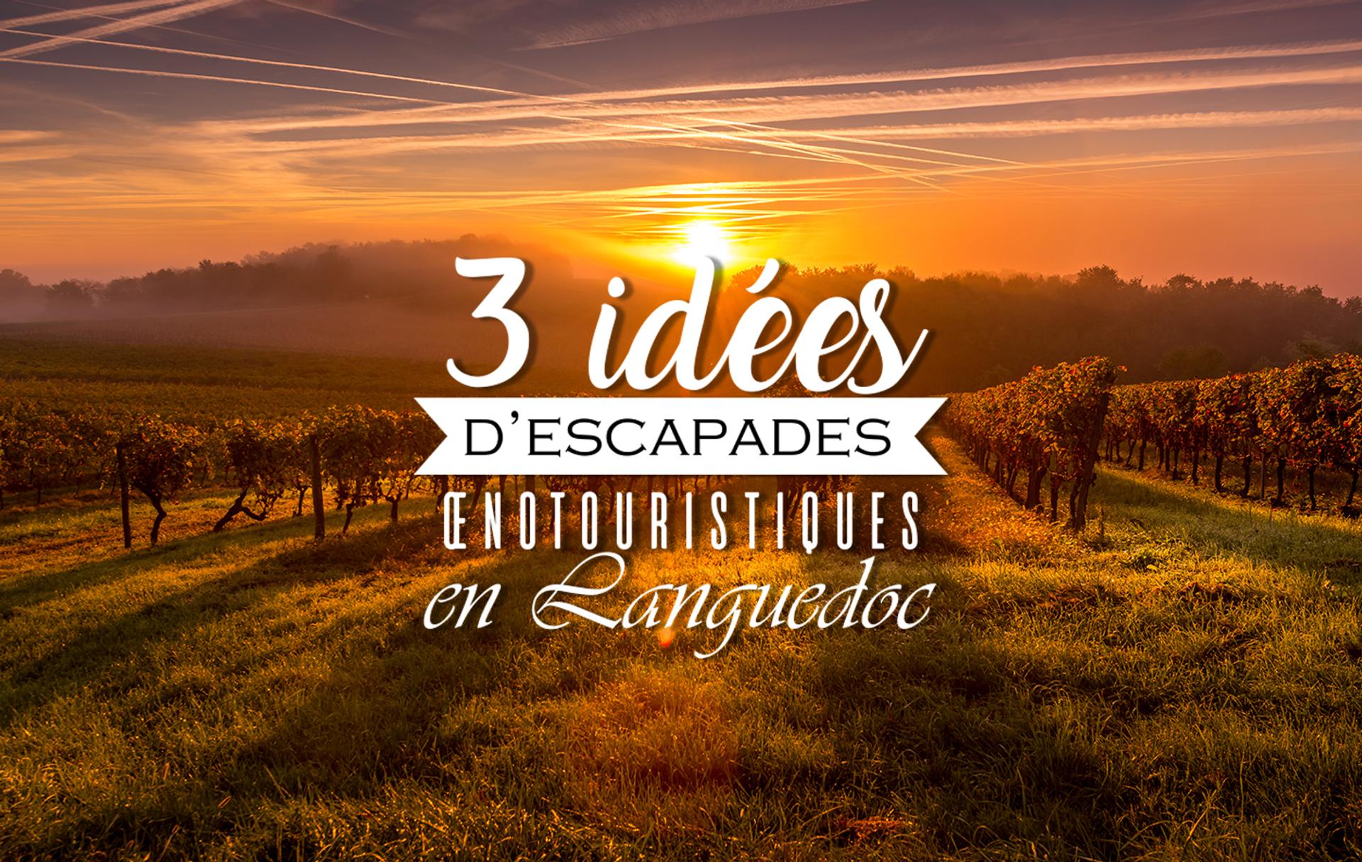 3 idées d'escapades œnotouristiques en Languedoc