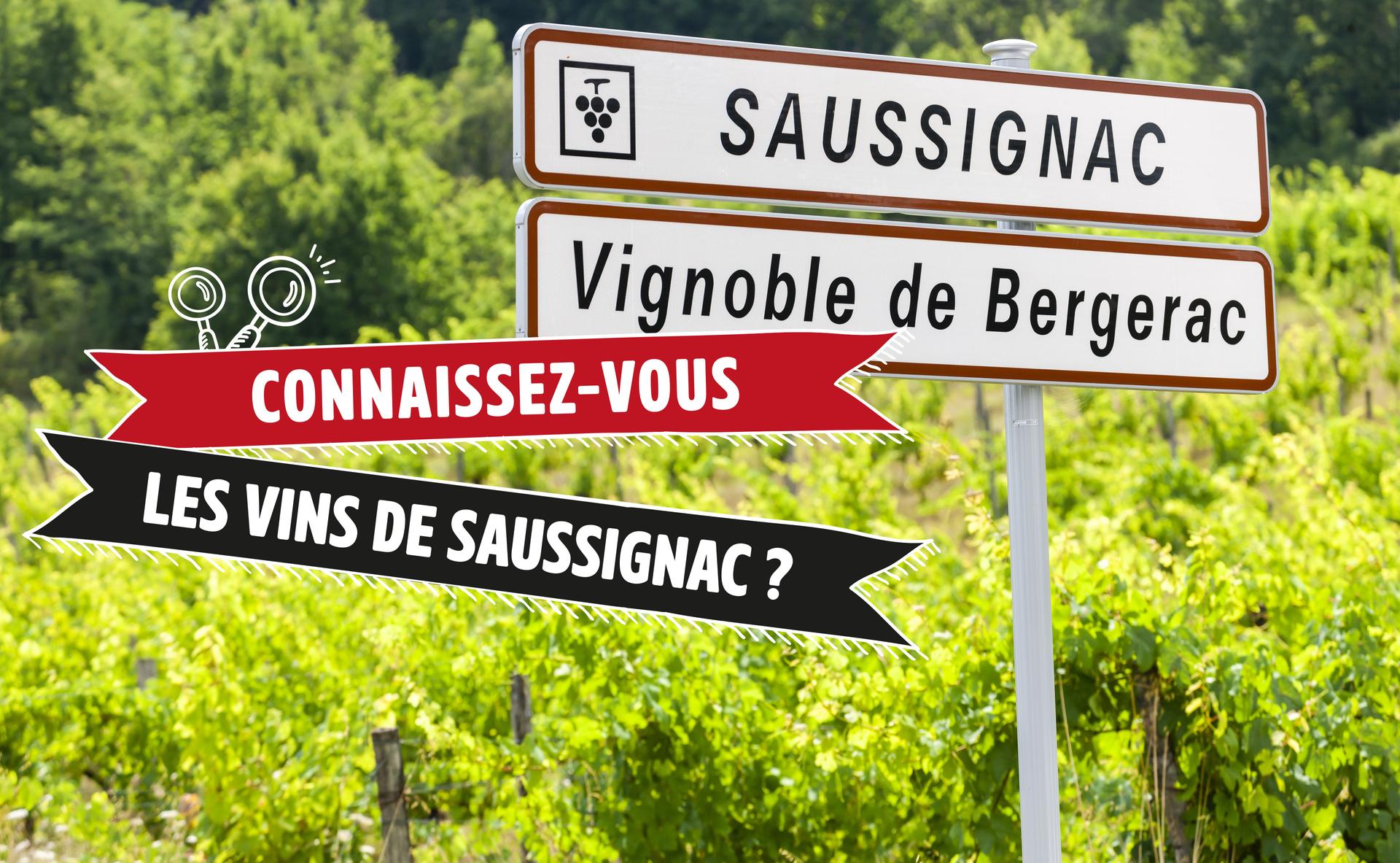 Connaissez-vous les vins de Saussignac ?