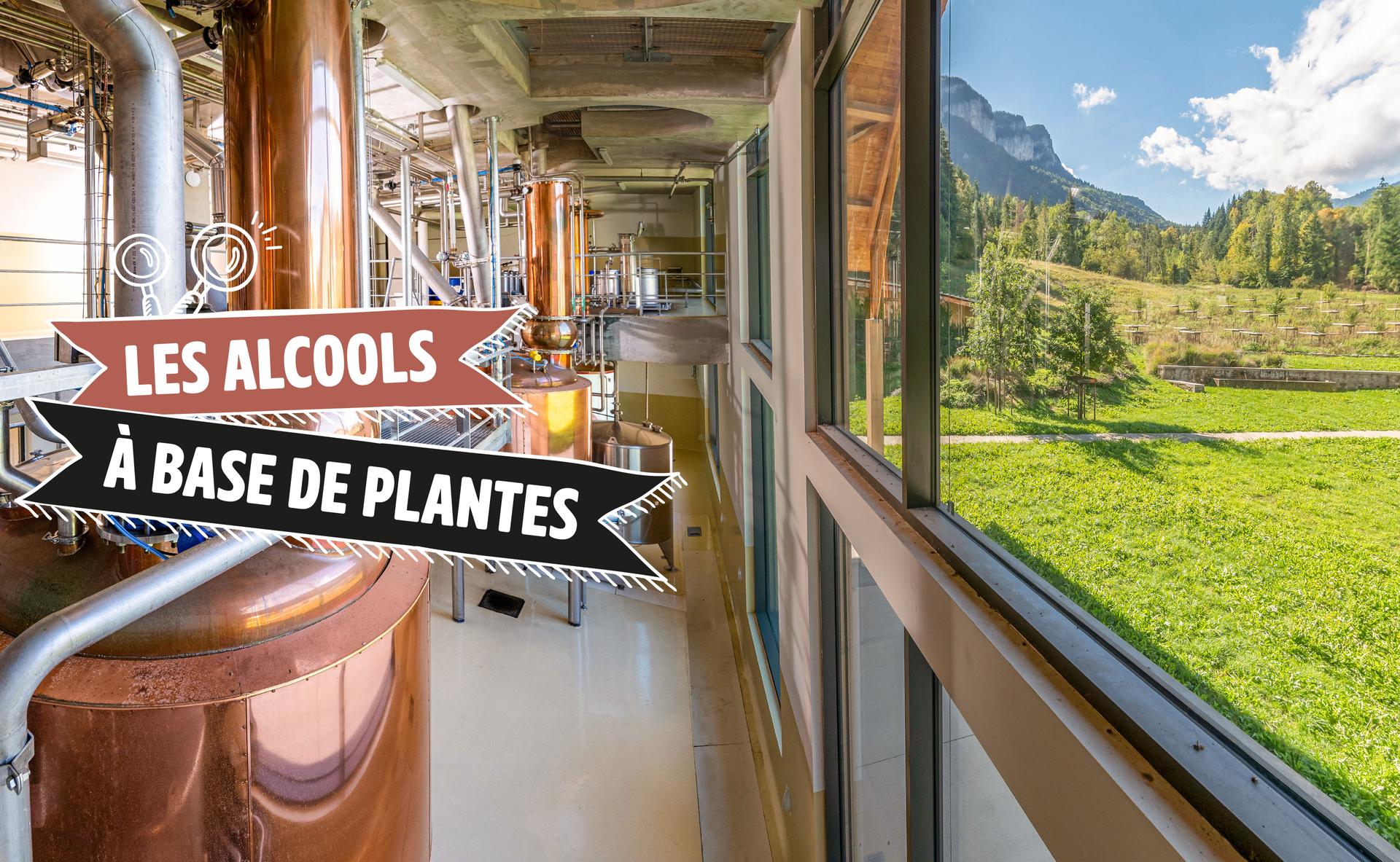 Les alcools à base de plantes