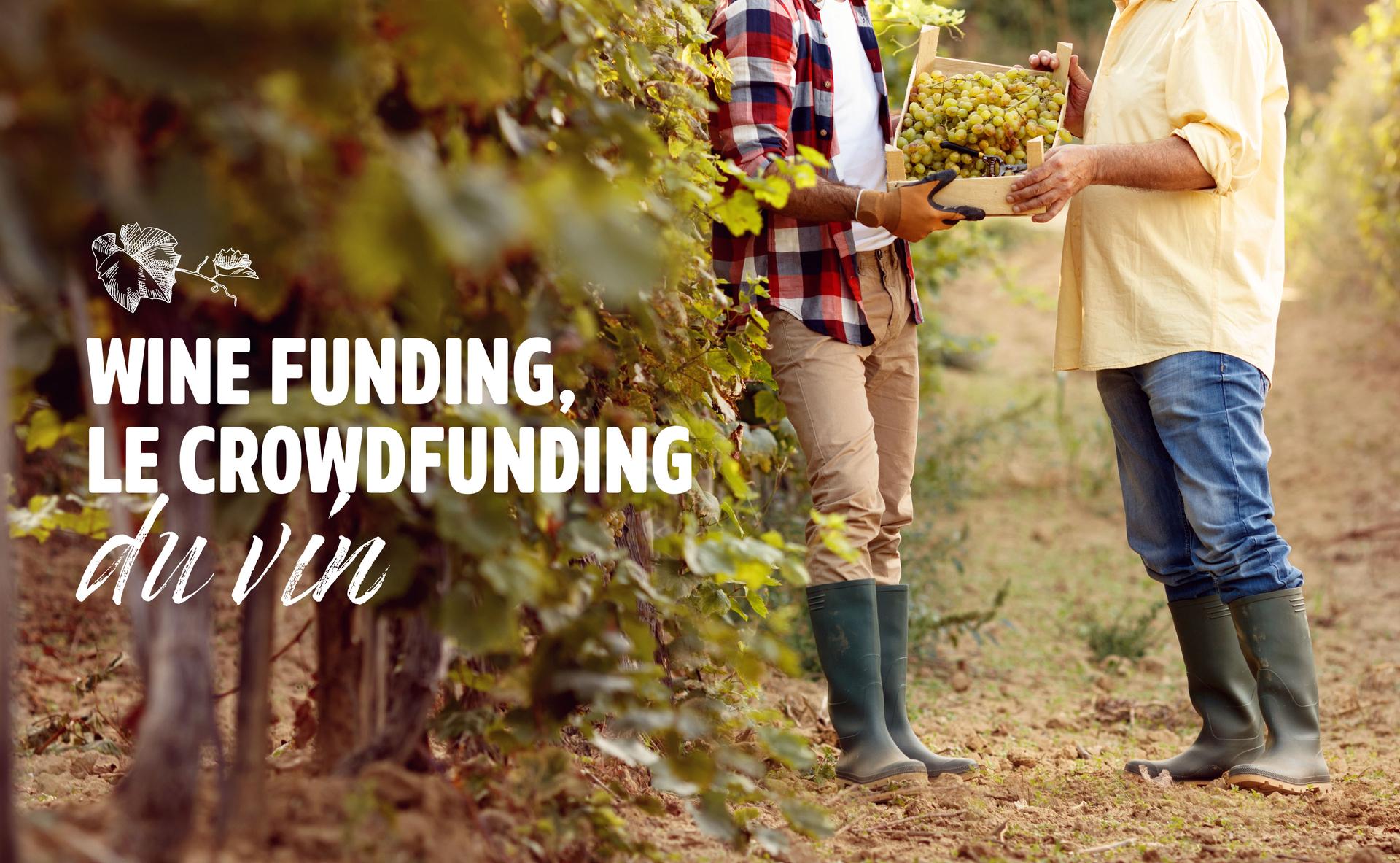 Wine Funding, le crowdfunding du vin