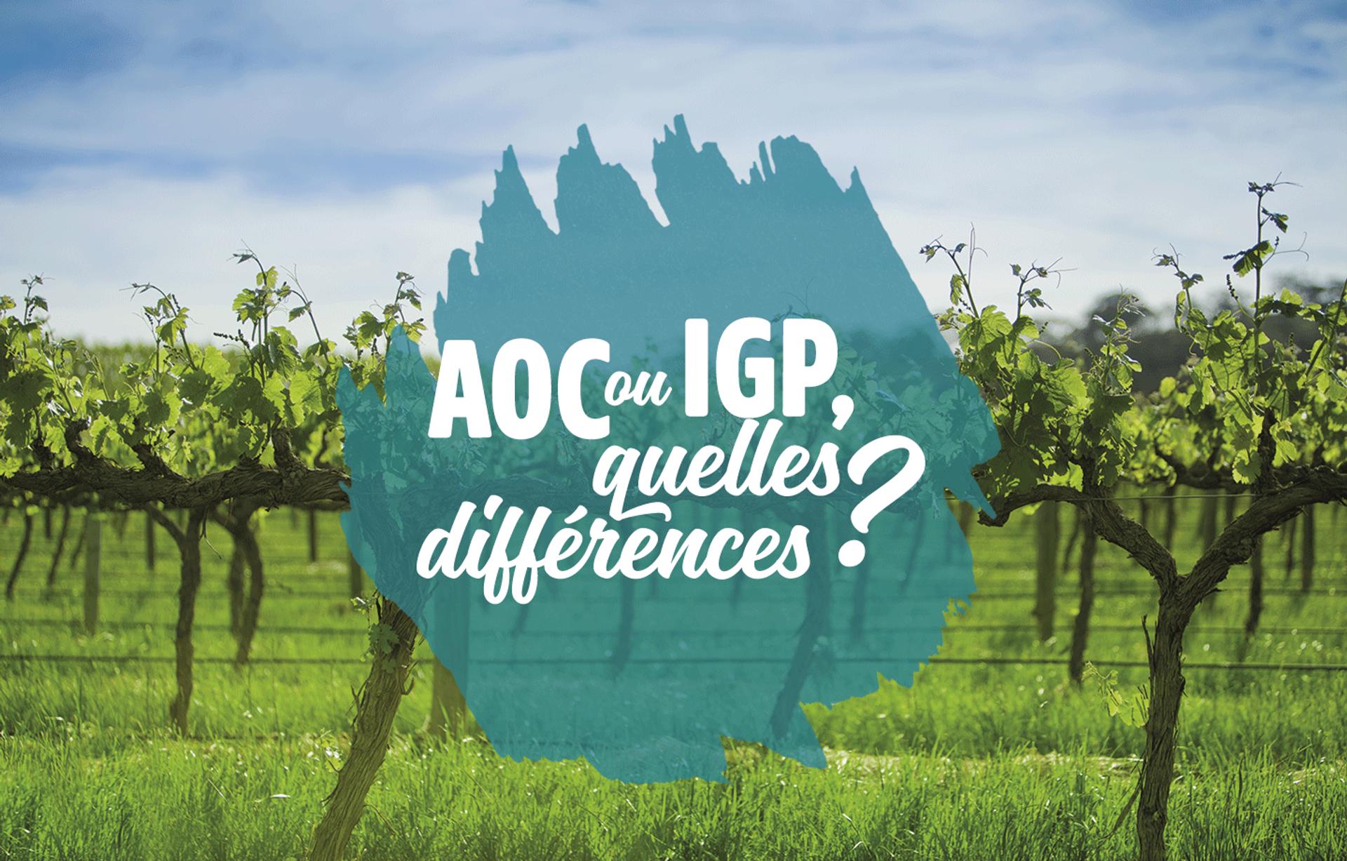 AOC ou IGP, quelles différences ?