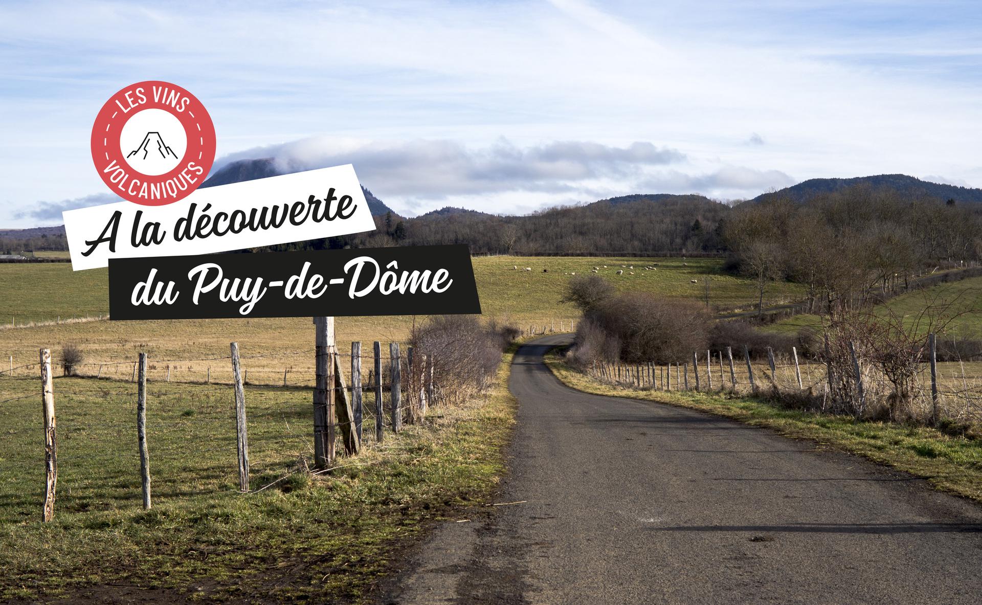Vins volcaniques : à la découverte du Puy-de-Dôme