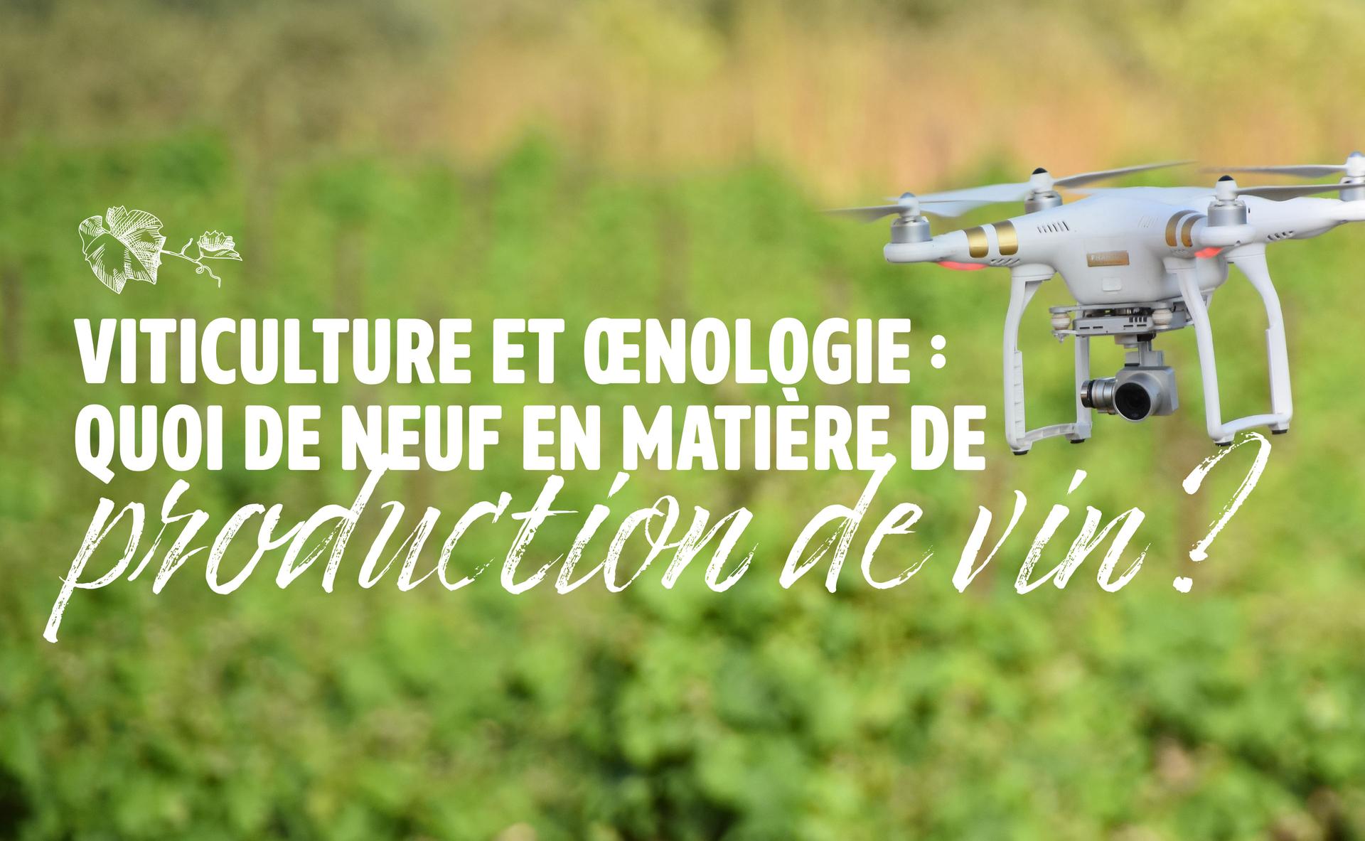 Viticulture et œnologie : quoi de neuf en matière de production de vin ? 
