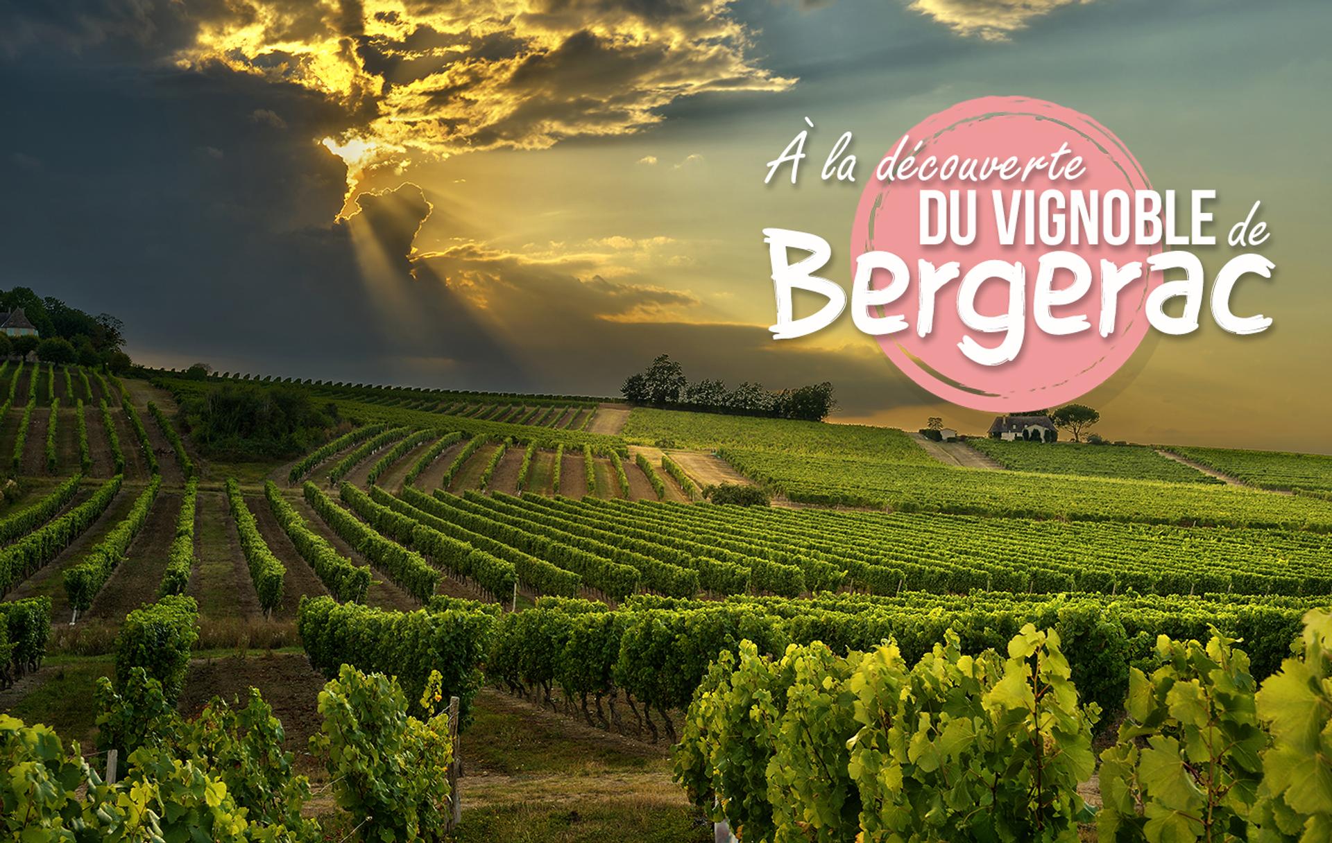 A la découverte du vignoble de Bergerac