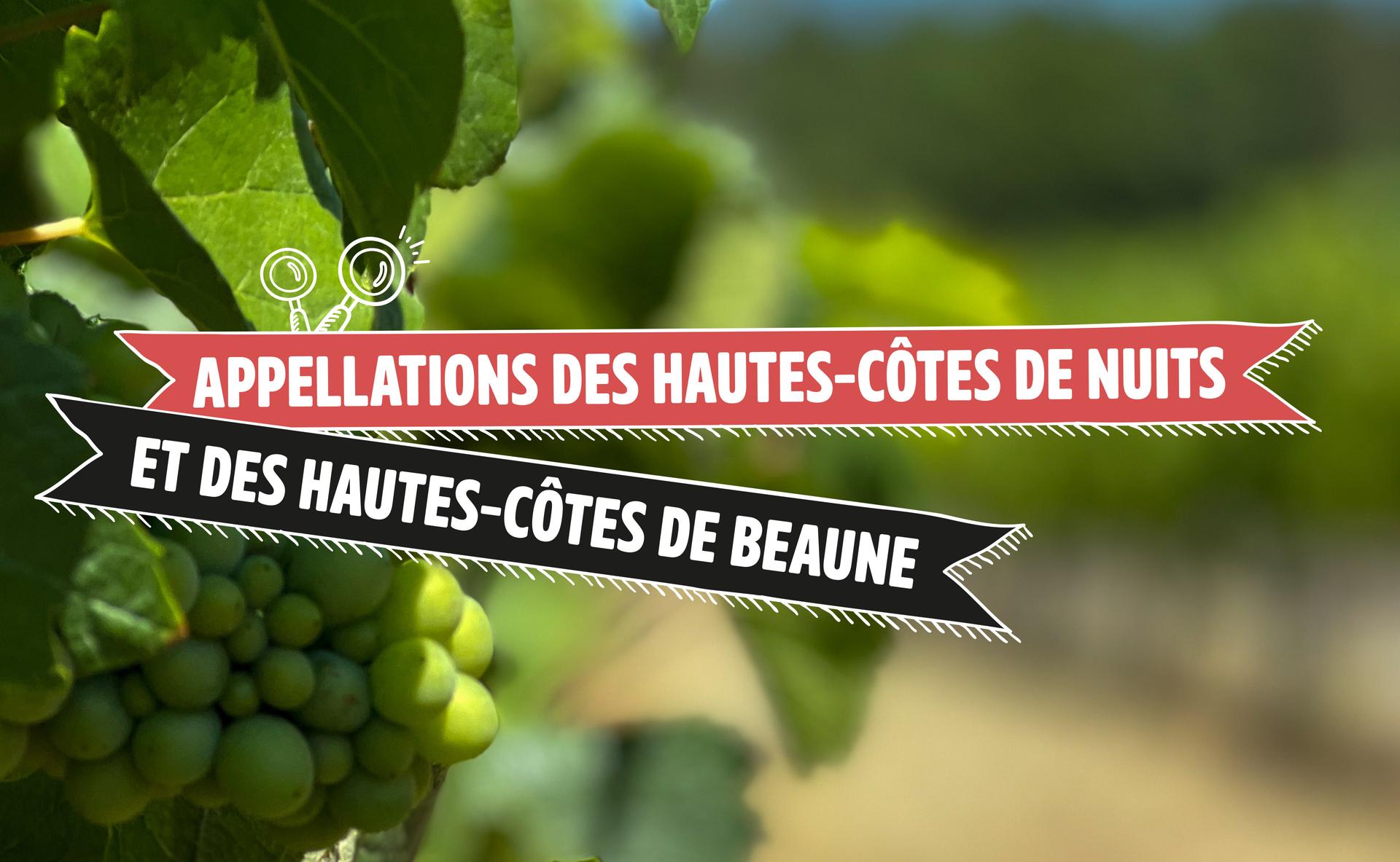 Appellations des Hautes-Côtes de Nuits et des Hautes-Côtes de Beaune : panorama sur deux appellations de la Bourgogne régionale