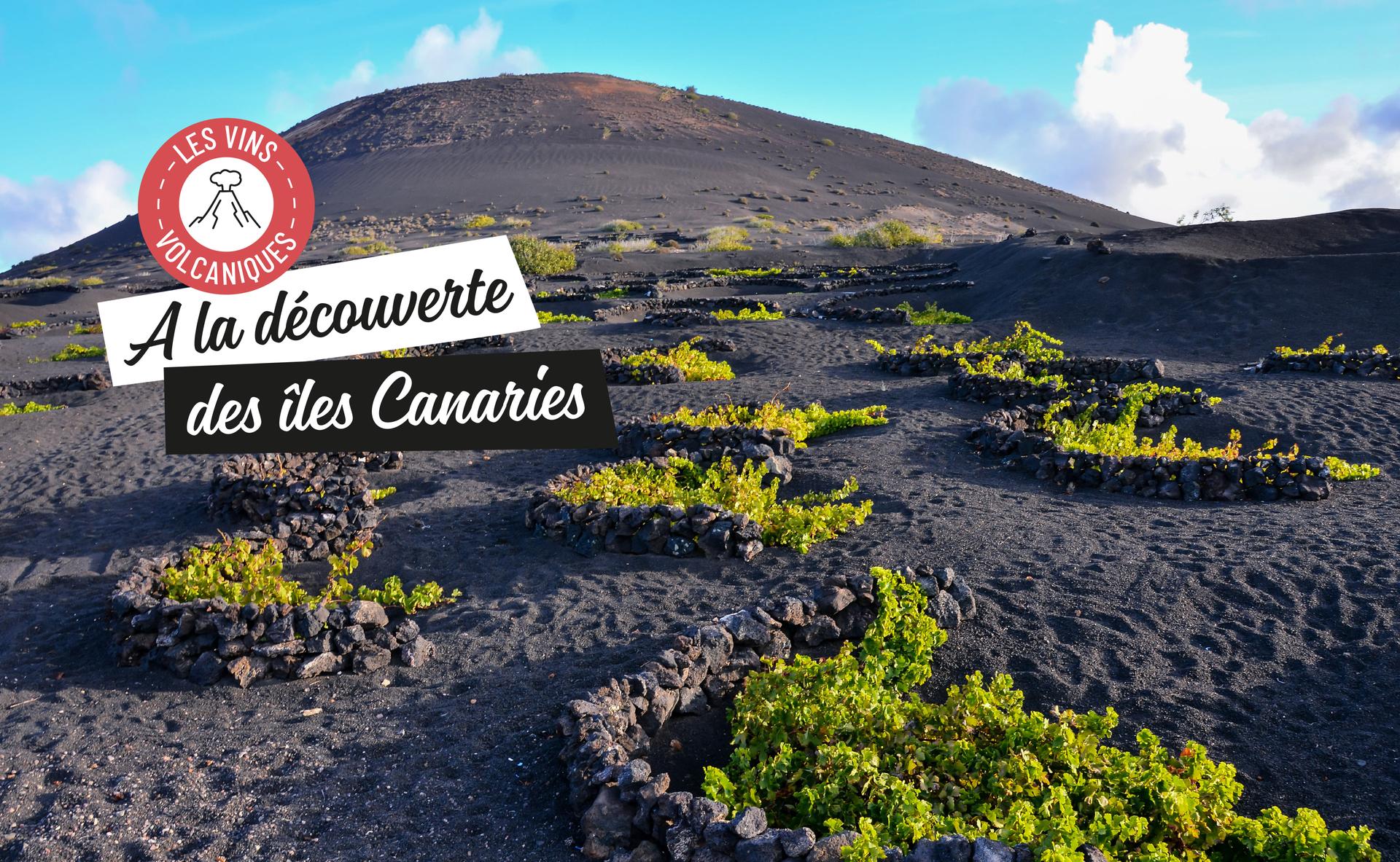 Vins volcaniques : à la découverte des Canaries