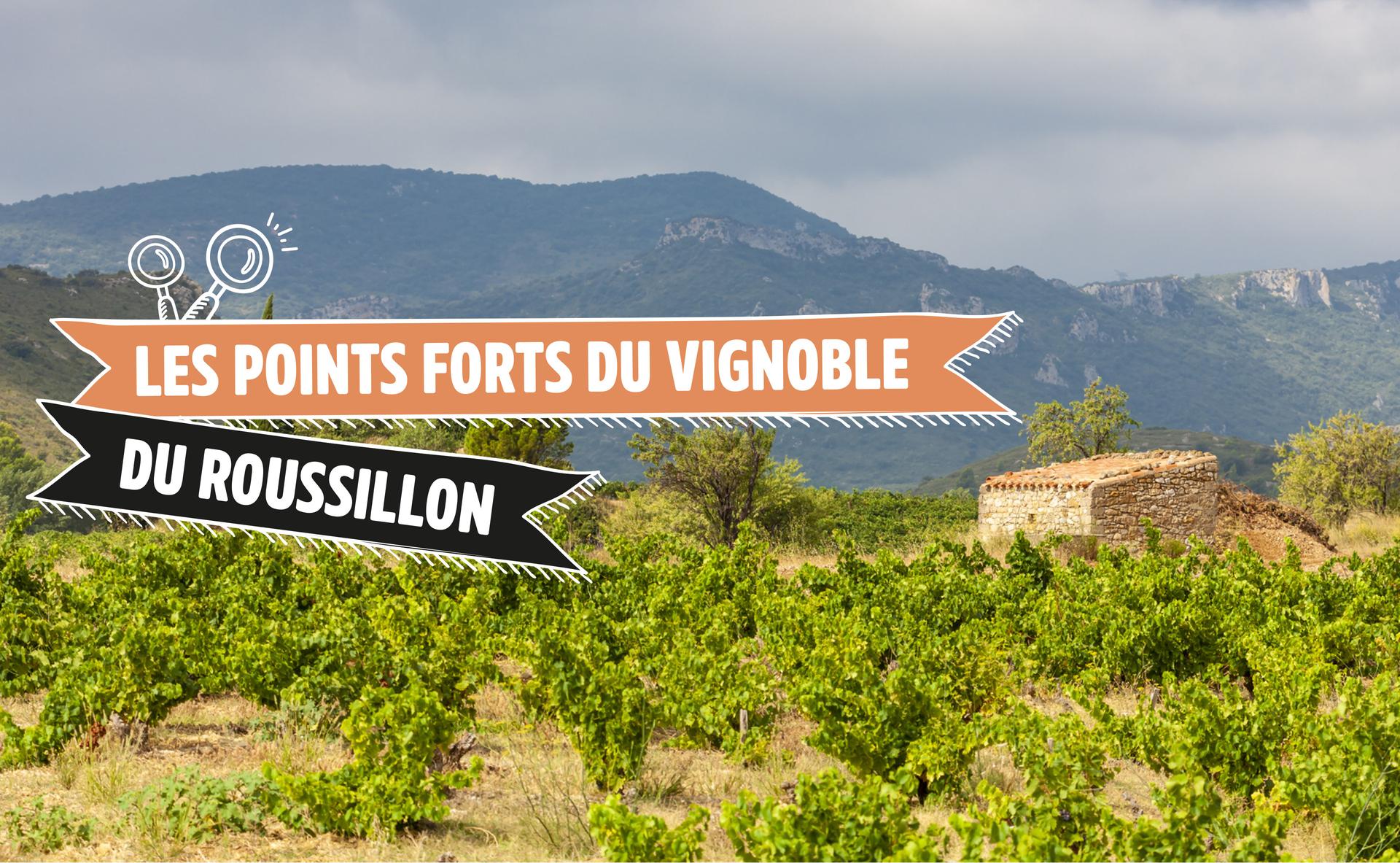 Les points forts du vignoble du Roussillon