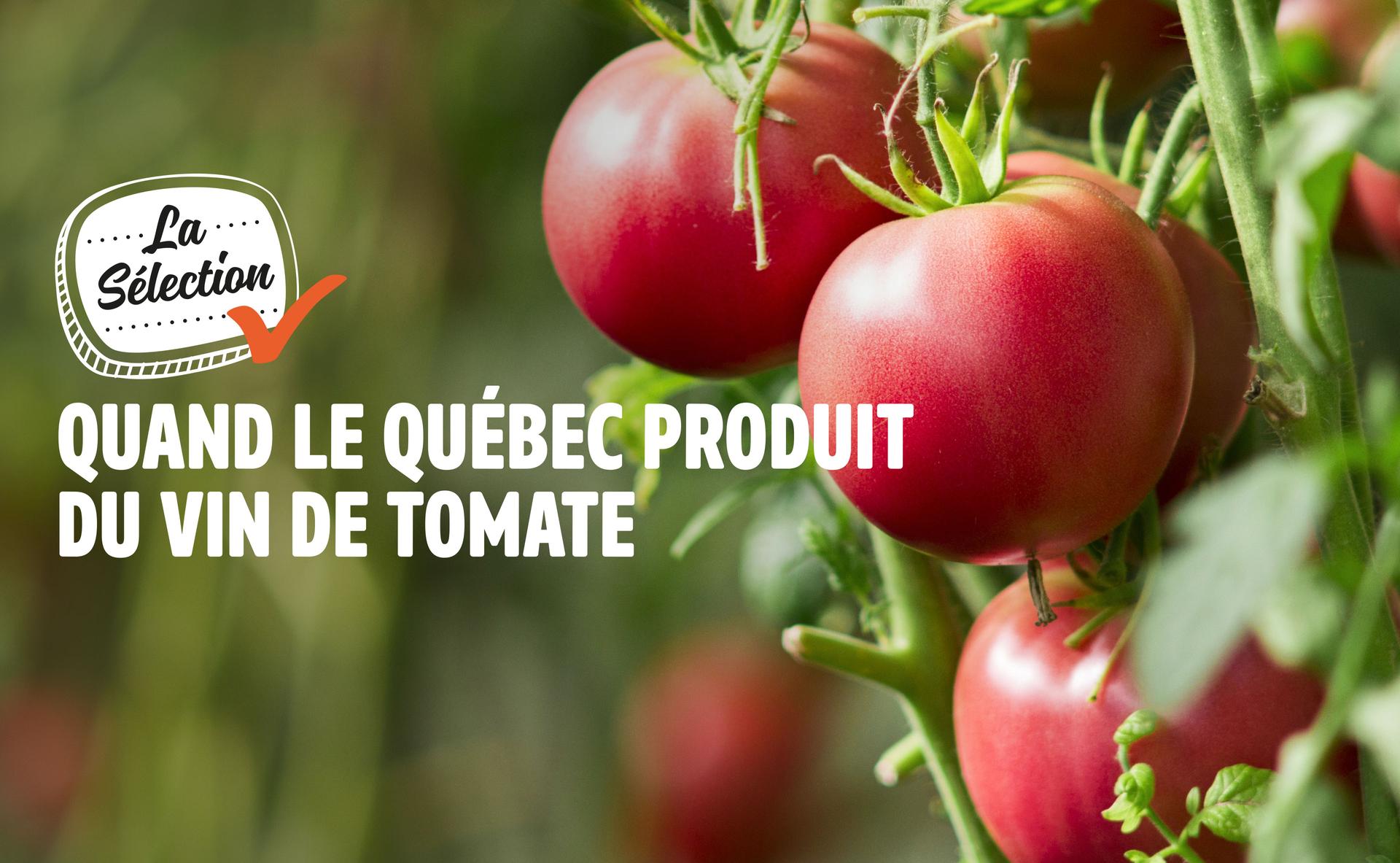 Quand le Québec produit du vin de tomate