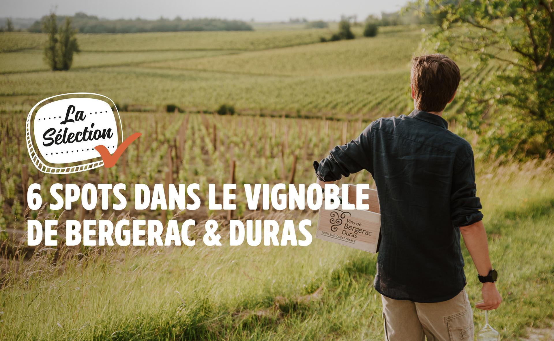 Œnotourisme : 6 spots dans le vignoble de Bergerac & Duras