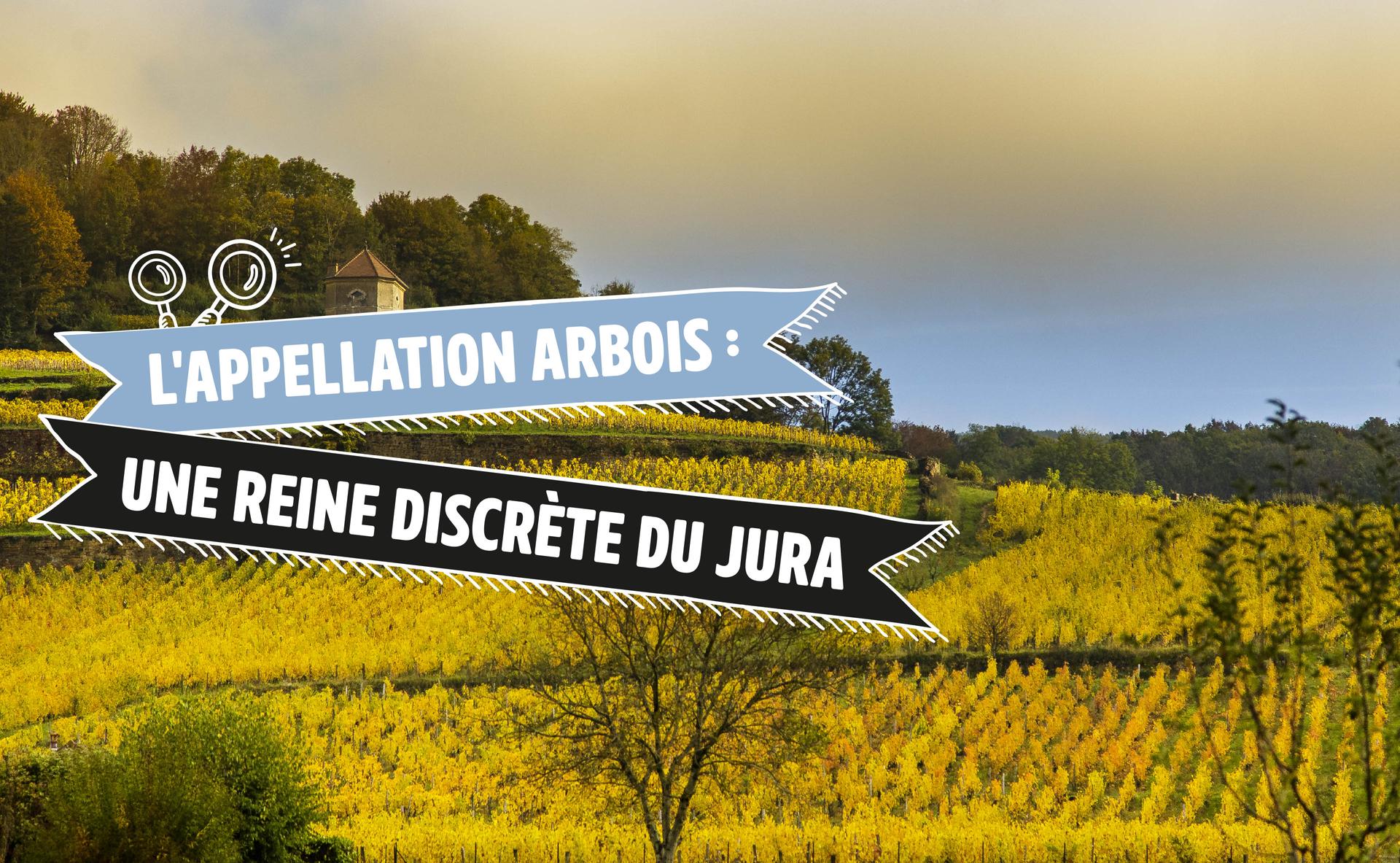 L'appellation Arbois : une reine discrète du Jura