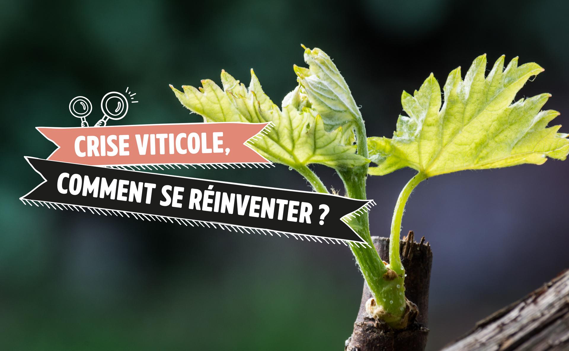 Crise viticole, comment les vigneronnes et vignerons peuvent-ils se réinventer ?